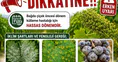 Sarıgöllü üzüm üreticilerine kritik ilaçlama uyarısı geldi
