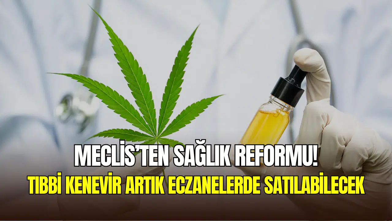 Meclis’te kabul edildi: Tıbbi kenevir ve ilaç takip sistemi yasalaştı