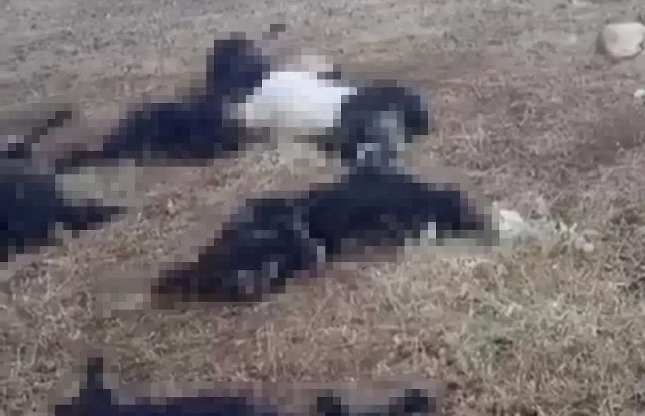 Bitlis'te yaylayı vuran yıldırım üreticiyi zarara uğrattı
