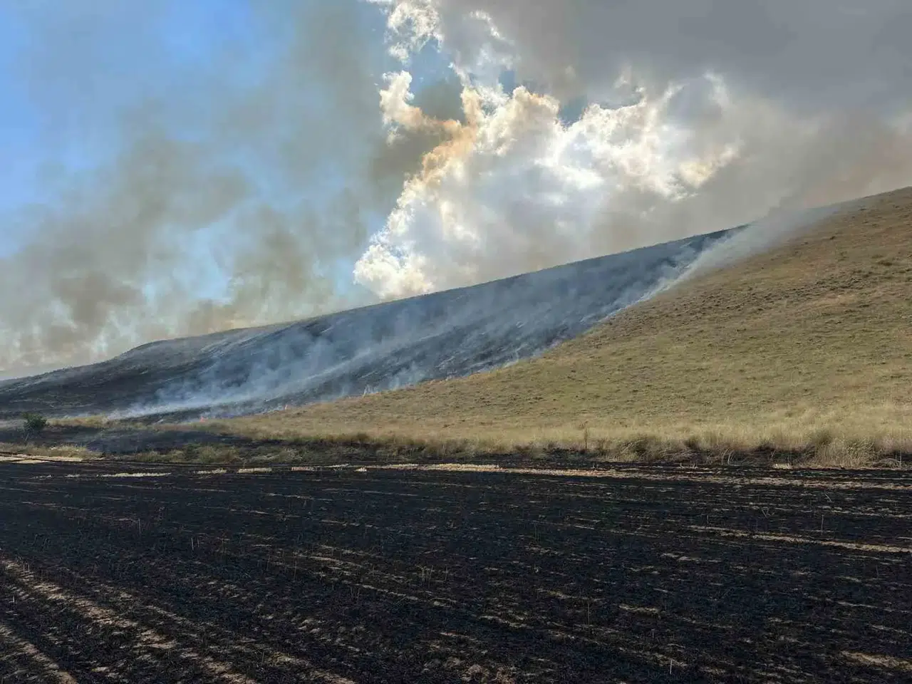 Bitlis'te elektrik kıvılcımı 400 dönüm arazide hasara yol açtı