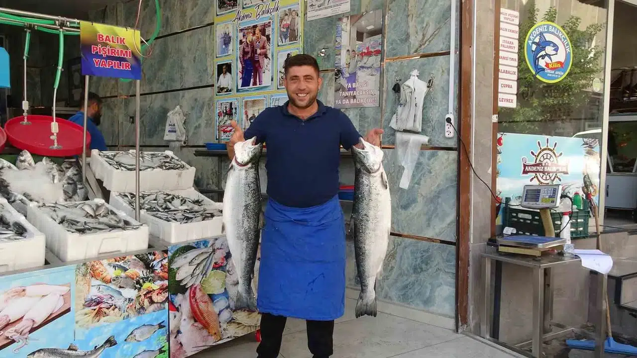 Kilis'te denizden gelen bereket sofralara taşınıyor: Tezgahlar şenlendi