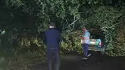 Bartın’da fırtına düğünü vurdu Ağaçlar araçların üzerine devrildi