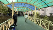 Saniyelerle kaçan memurluk hayali: Sınav kapısında hüzünlü anlar