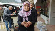 Sinop'un lezzet hazinesi tezgahlara indi: Erfelek kuzu kestanesi sezonu açıldı