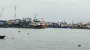 Karadeniz'de fırtına balıkçıları limana hapsetti: Dev tekneler güvenli limana demir attı