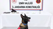 Bademler'de suçüstü: Aranan şüpheli uyuşturucuyla yakalandı