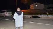 Besni'de yolun karşısına geçmek isterken canından oldu