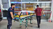 Budama yaparken metrelerce yükseklikten zemine çakıldı