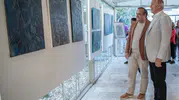 Kuşadası’nın kadim mahallesinde zeytin ağaçlarının hüzünlü hikayesi konuşuluyor