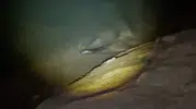Keban Barajı'nın gece misafiri objektiflere yansıdı
