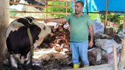 Hatay'da hayvancılığı tehdit eden SAT-1 varyantına karşı seferberlik