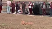 İslahiye'de dehşet anları: Refüjü aşan otomobil karşı şeride uçtu