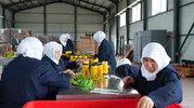 Gürsu'da fabrikasyon üretime inat: Kadınların elinden çıkan şifa kavanozlara girdi
