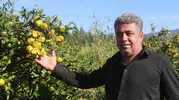 Emekler bir anda yerle bir oldu: Hasat gününde gelen felaket üreticiyi vurdu