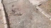 Bilecik'te mahallelinin isyanı: 32 Evler Parkı kaderine terk edildi