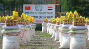 Yemen'de insani felaket derinleşiyor: İHH'dan acil yardım çağrısı