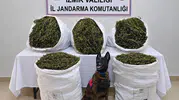 Tire'de zehir tacirlerine jandarma darbesi: Tonlarca esrar ele geçirildi