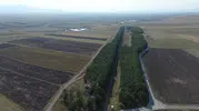 Bozkırın ortasında 55 yıllık mucize: Bir istasyonun yeşil dönüşümü