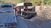 Tarsus yolunda gece yarısı operasyonu: Kamyonetten düşen hayvan trafiği birbirine kattı