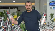 Karadeniz'de palamut bereketi: Sofralardaki şölen bir ay daha sürecek