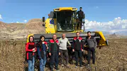 Erzincan tarlalarında hasat mesaisi: Dane kaybına karşı sıkı takip