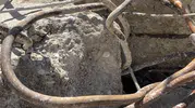 Maltepe'deki faciada korkunç detay: Betonun içinden deniz kabukları çıktı