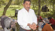 Tokat'ın bereketli topraklarında beyaz altın mesaisi: Üreticinin yüzü bu yıl gülüyor