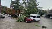 Cide'de doğa öfkesini kustu: Çatılar uçtu, araçlar hurdaya döndü