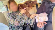 Adliyede rüşvet ağı: Milyonluk pazarlıklar ve görevden alınan yargı mensupları