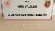 Muş'ta zehir tacirlerine geçit yok: Eylül ayı bilançosu açıklandı