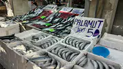 İnebolu'da balıkçı tezgahlarında palamut bereketi: Fiyatlar cep yakmıyor