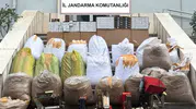 Serdivan'da kaçak tütün operasyonu: Tonlarca ürün ele geçirildi