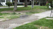 Eskişehir'de arkadaş kavgası kanlı bitti: Bıçaklı saldırı sonrası acı haber geldi