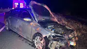 Kastamonu kara yolunda gece yarısı dehşeti: Sürüye çarpan araçta can pazarı