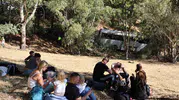 Aydın-İzmir yolunda korkunç kaza: Turistleri taşıyan araçlar ormanlık alana savruldu