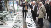 Karadeniz'de palamut bereketi: Fiyatlar yarıya indi, tezgahlarda kuyruklar oluştu