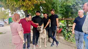 Başmakçı'da evcil dostlar için dijital dönem: Mikroçip ile takip başlıyor