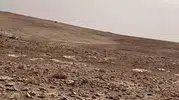Kafesteki özgürlük: Midyat'ta yasa dışı avcılığa ağır fatura