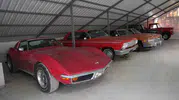 Erzurum'daki gizli hazine: Milyonluk klasiklerin hikayesi babadan oğula geçti