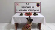 Niğde Emniyeti'nden suçlulara geçit yok: Bir haftalık bilançoda 51 yakalama