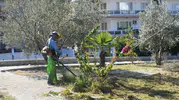 Kuşadası’nda yeşil seferberlik: Parklar ve oyun alanları baştan aşağı yenileniyor