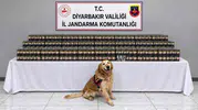 Diyarbakır'da kaçakçılık ağlarına jandarma darbesi: On binlerce ürün ele geçirildi