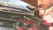 Motor kaputundan gelen ses sürücüyü harekete geçirdi: Üç minik can kurtarıldı