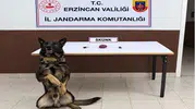 Erzincan'da zehir tacirlerine çifte darbe: Tonlarca bonzaiyi engelleyen operasyon