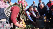 Niğde topraklarında yerli tohum devrimi: Hasat bereketi yüzleri güldürdü