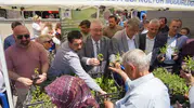 Edremit Belediyesi bahçeler için ücretsiz ata tohumu dağıtıyor