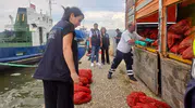 İzmir kıyılarında kaçak midye avına büyük baskın