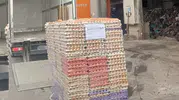 Sakarya’da sahte organik yumurta operasyonu