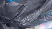 İzmir'de 33 kedinin ölümüne sebep olan veterinerin serbest kalmasına itiraz edildi