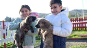 Dikili’ye 2 bin 500 hayvan kapasiteli yeni yaşam alanı kuruluyor